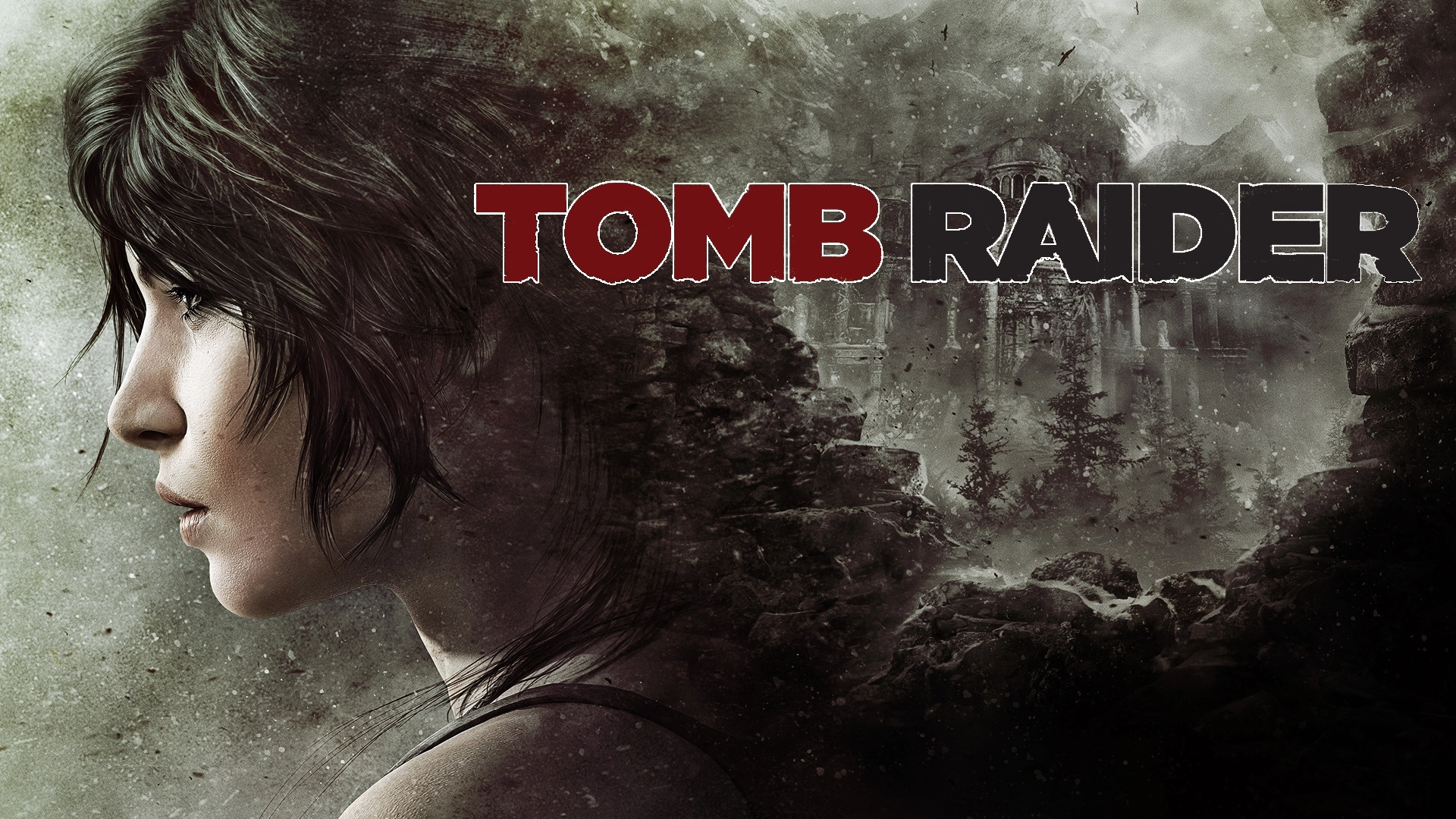 Banner Franchise Tomb Raider